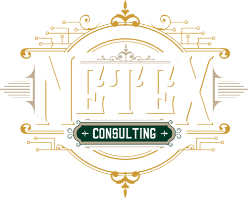 NeTex Consulting